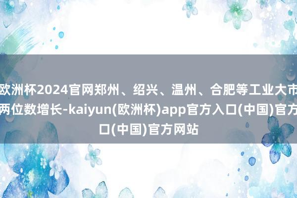 欧洲杯2024官网郑州、绍兴、温州、合肥等工业大市罢了两位数增长-kaiyun(欧洲杯)app官方入口(中国)官方网站