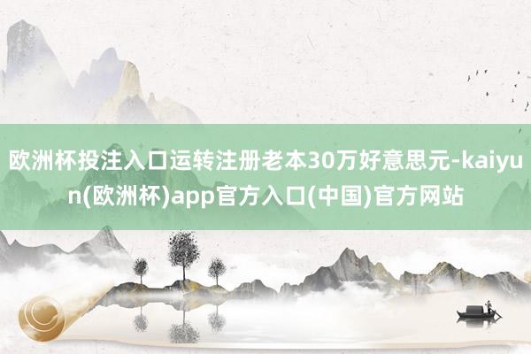 欧洲杯投注入口运转注册老本30万好意思元-kaiyun(欧洲杯)app官方入口(中国)官方网站