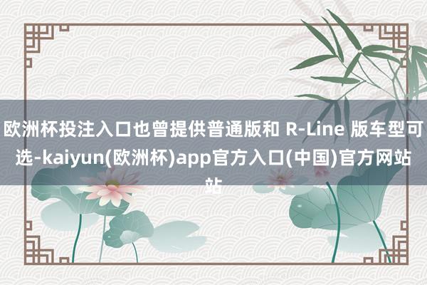 欧洲杯投注入口也曾提供普通版和 R-Line 版车型可选-kaiyun(欧洲杯)app官方入口(中国)官方网站