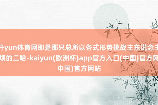 开yun体育网即是那只总所以各式形势挑战主东说念主耐烦的二哈-kaiyun(欧洲杯)app官方入口(中国)官方网站