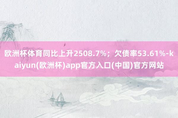 欧洲杯体育同比上升2508.7%；欠债率53.61%-kaiyun(欧洲杯)app官方入口(中国)官方网站