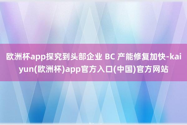 欧洲杯app探究到头部企业 BC 产能修复加快-kaiyun(欧洲杯)app官方入口(中国)官方网站