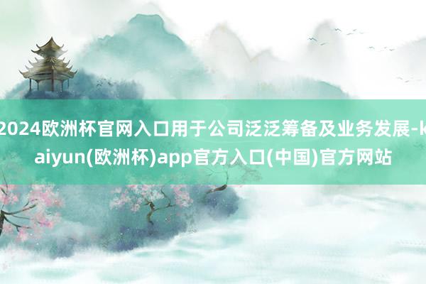 2024欧洲杯官网入口用于公司泛泛筹备及业务发展-kaiyun(欧洲杯)app官方入口(中国)官方网站