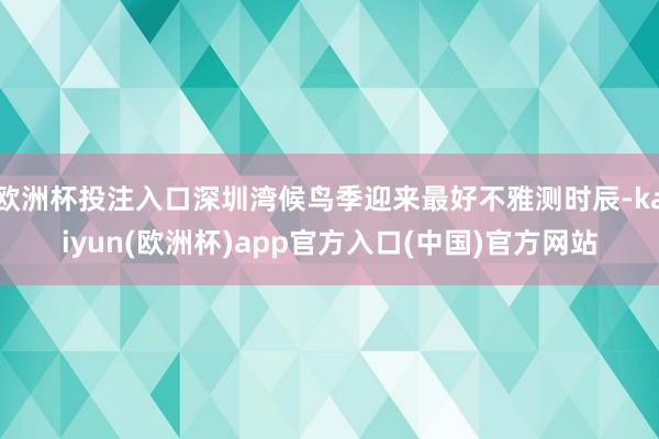 欧洲杯投注入口深圳湾候鸟季迎来最好不雅测时辰-kaiyun(欧洲杯)app官方入口(中国)官方网站