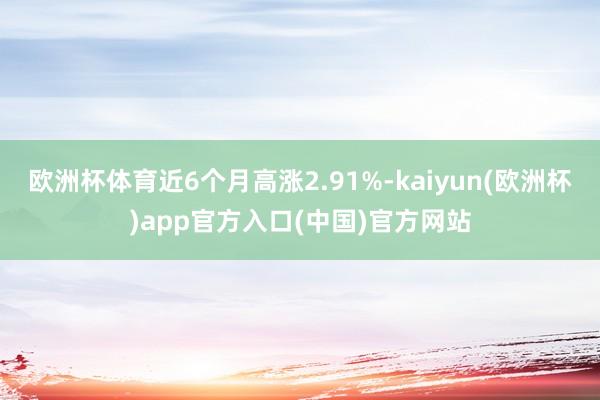欧洲杯体育近6个月高涨2.91%-kaiyun(欧洲杯)app官方入口(中国)官方网站