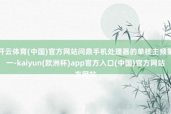 开云体育(中国)官方网站问鼎手机处理器的单核主频第一-kaiyun(欧洲杯)app官方入口(中国)官方网站