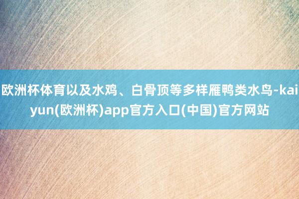 欧洲杯体育以及水鸡、白骨顶等多样雁鸭类水鸟-kaiyun(欧洲杯)app官方入口(中国)官方网站