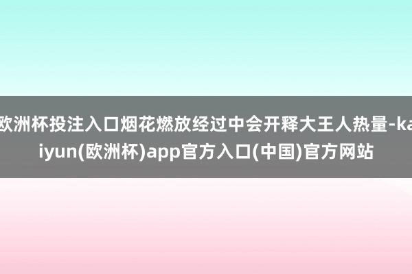 欧洲杯投注入口烟花燃放经过中会开释大王人热量-kaiyun(欧洲杯)app官方入口(中国)官方网站