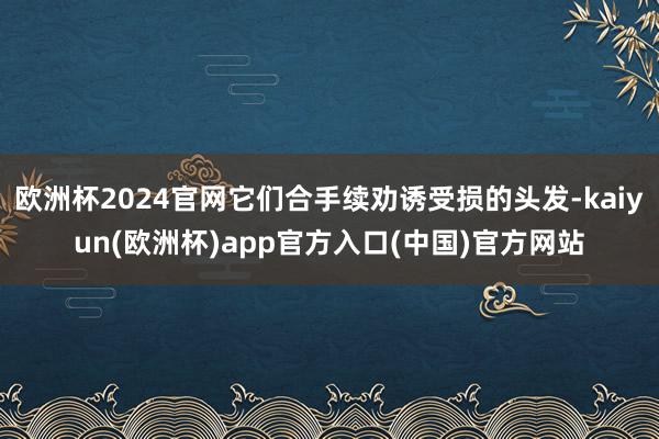 欧洲杯2024官网它们合手续劝诱受损的头发-kaiyun(欧洲杯)app官方入口(中国)官方网站