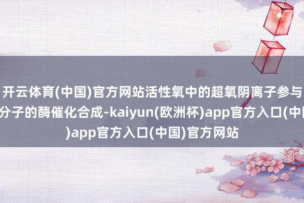 开云体育(中国)官方网站活性氧中的超氧阴离子参与麦角碱药物分子的酶催化合成-kaiyun(欧洲杯)app官方入口(中国)官方网站