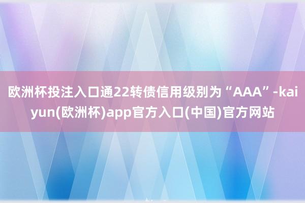 欧洲杯投注入口通22转债信用级别为“AAA”-kaiyun(欧洲杯)app官方入口(中国)官方网站