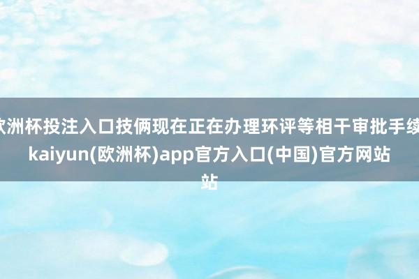 欧洲杯投注入口技俩现在正在办理环评等相干审批手续-kaiyun(欧洲杯)app官方入口(中国)官方网站