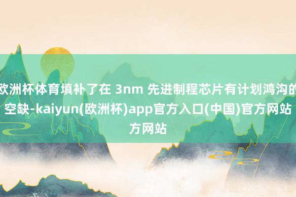 欧洲杯体育填补了在 3nm 先进制程芯片有计划鸿沟的空缺-kaiyun(欧洲杯)app官方入口(中国)官方网站