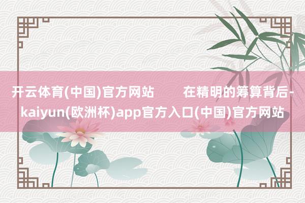 开云体育(中国)官方网站        在精明的筹算背后-kaiyun(欧洲杯)app官方入口(中国)官方网站