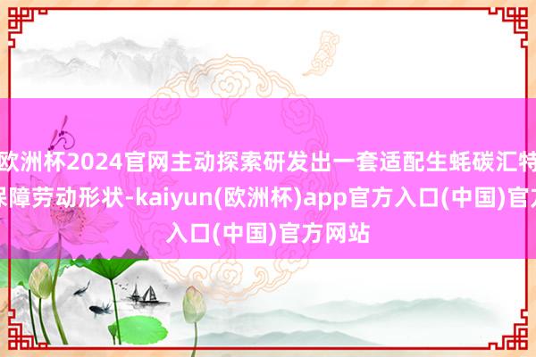 欧洲杯2024官网主动探索研发出一套适配生蚝碳汇特色的保障劳动形状-kaiyun(欧洲杯)app官方入口(中国)官方网站