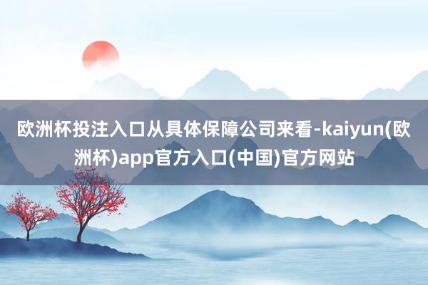 欧洲杯投注入口　　从具体保障公司来看-kaiyun(欧洲杯)app官方入口(中国)官方网站