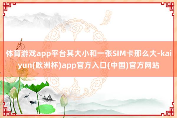 体育游戏app平台其大小和一张SIM卡那么大-kaiyun(欧洲杯)app官方入口(中国)官方网站