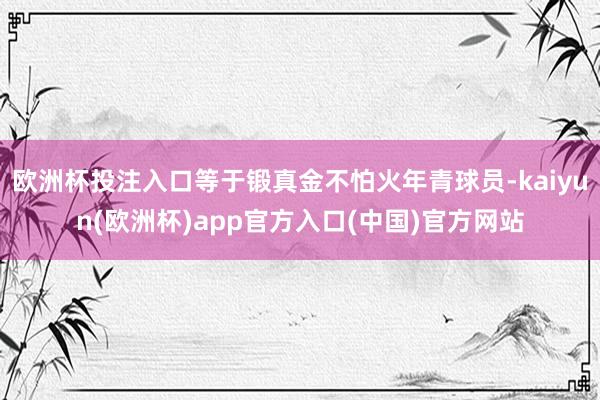 欧洲杯投注入口等于锻真金不怕火年青球员-kaiyun(欧洲杯)app官方入口(中国)官方网站