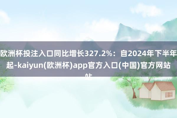 欧洲杯投注入口同比增长327.2%：自2024年下半年起-kaiyun(欧洲杯)app官方入口(中国)官方网站