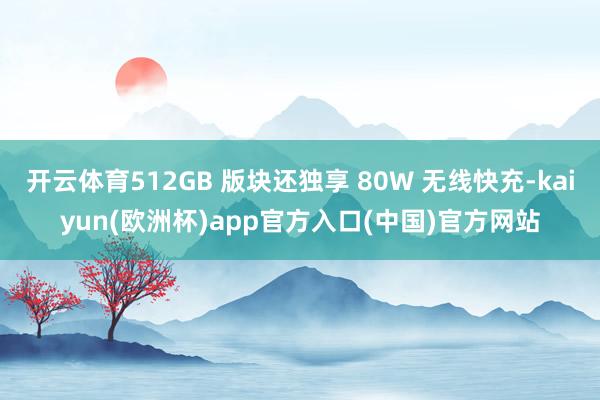 开云体育512GB 版块还独享 80W 无线快充-kaiyun(欧洲杯)app官方入口(中国)官方网站