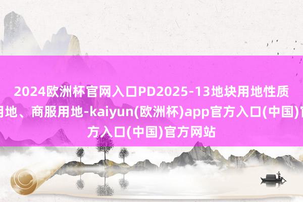 2024欧洲杯官网入口PD2025-13地块用地性质为住宅用地、商服用地-kaiyun(欧洲杯)app官方入口(中国)官方网站