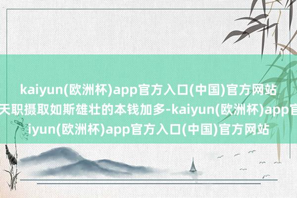 kaiyun(欧洲杯)app官方入口(中国)官方网站齐不成能在如斯短的时天职摄取如斯雄壮的本钱加多-kaiyun(欧洲杯)app官方入口(中国)官方网站