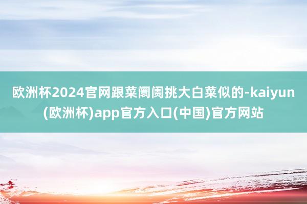 欧洲杯2024官网跟菜阛阓挑大白菜似的-kaiyun(欧洲杯)app官方入口(中国)官方网站