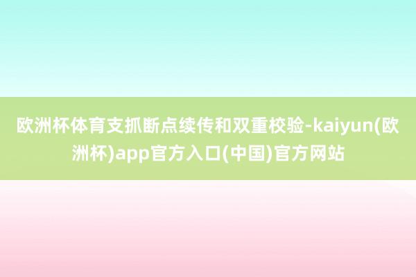 欧洲杯体育支抓断点续传和双重校验-kaiyun(欧洲杯)app官方入口(中国)官方网站