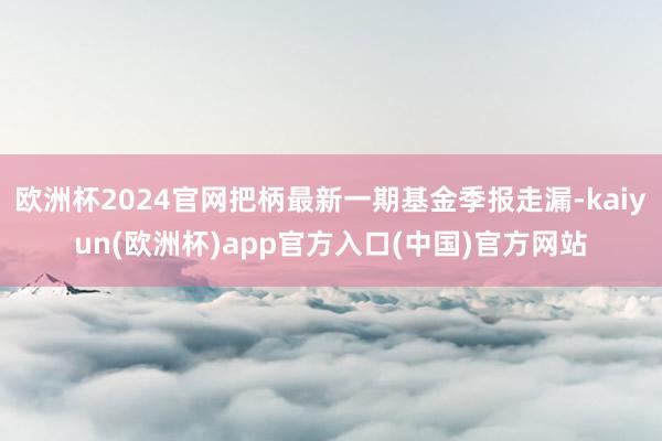 欧洲杯2024官网把柄最新一期基金季报走漏-kaiyun(欧洲杯)app官方入口(中国)官方网站